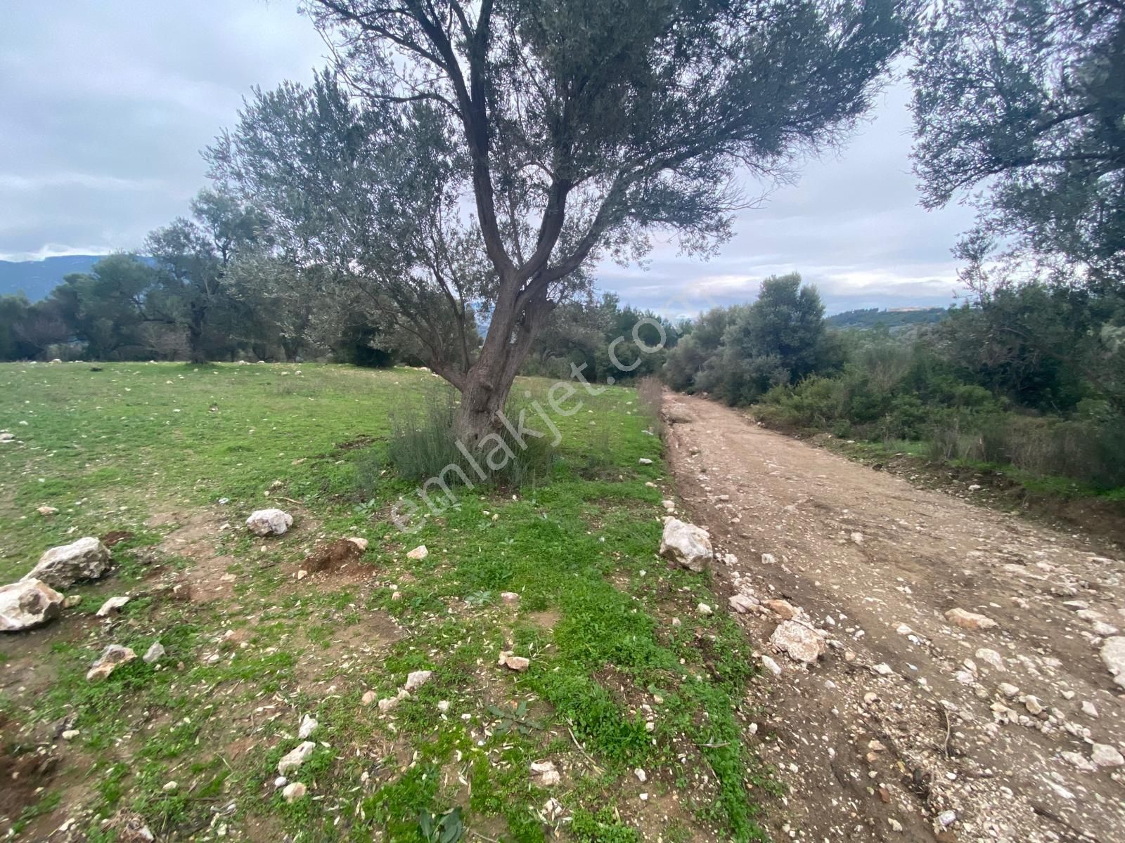 İzmir Bornovada Satılık Arazi - Görsel 5