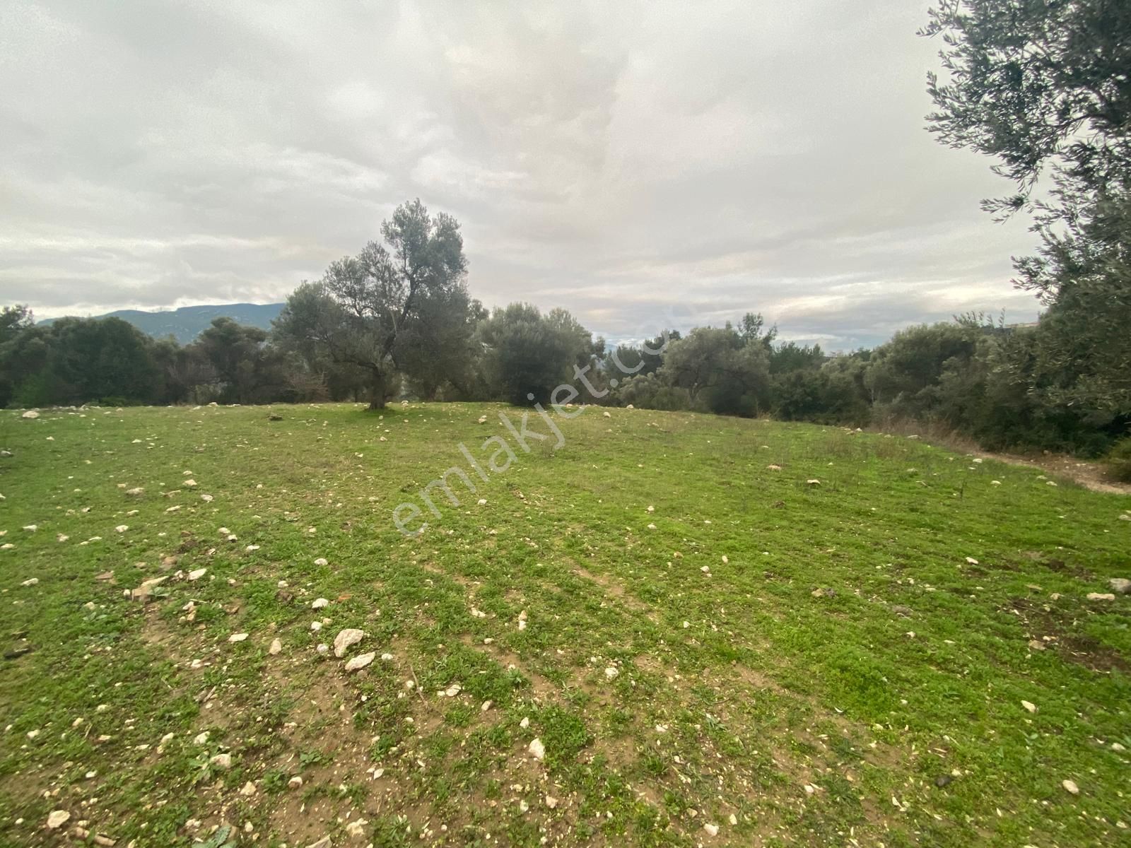 İzmir Bornovada Satılık Arazi - Görsel 6