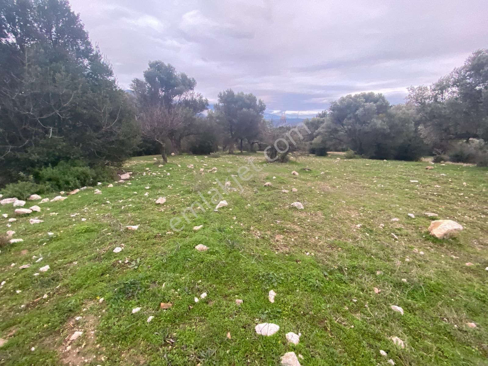 İzmir Bornovada Satılık Arazi - Görsel 17