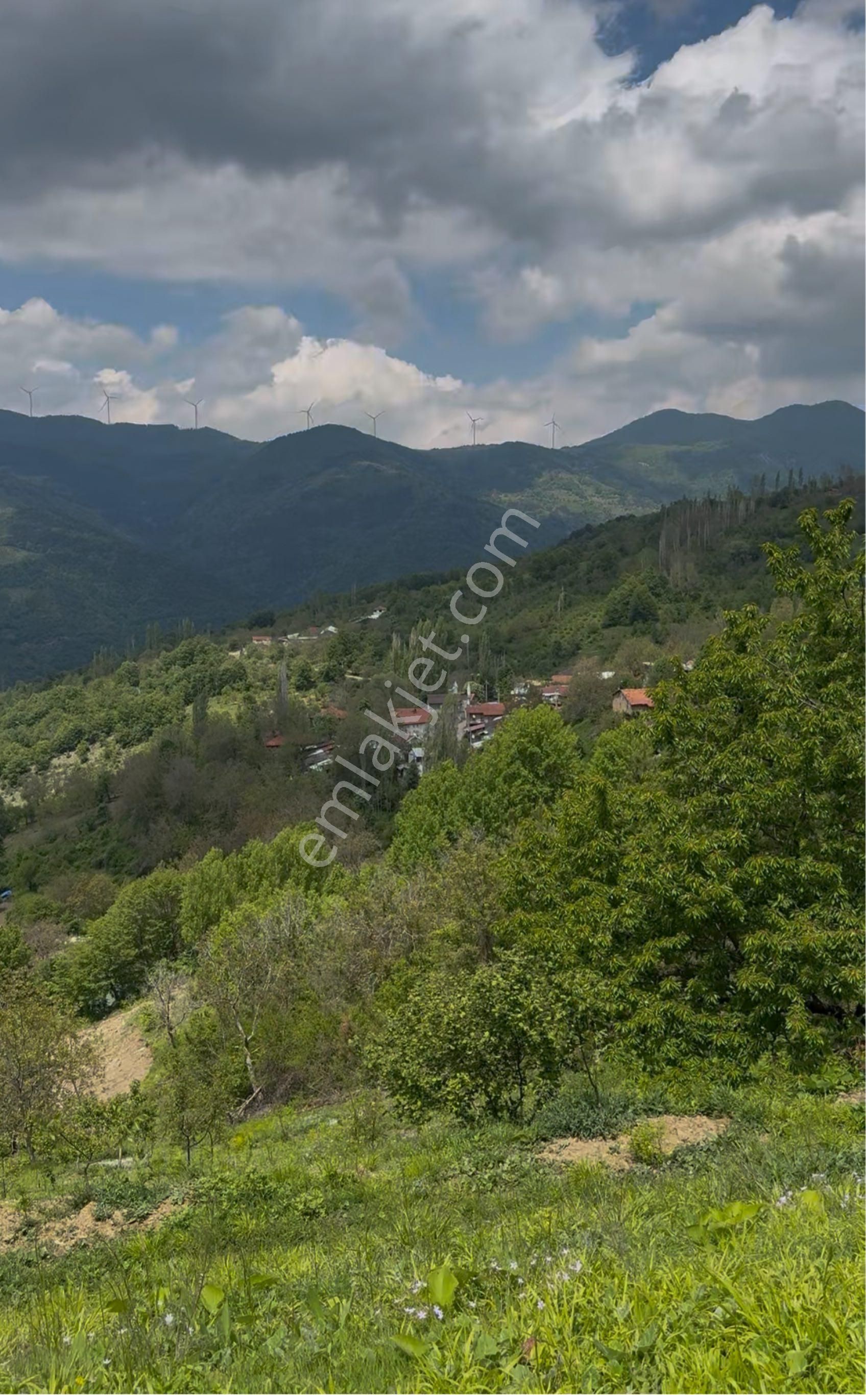İmara 100 Metre Sakarya Geyve Koru’da 1240 M2 Yatırımlık Tarla
