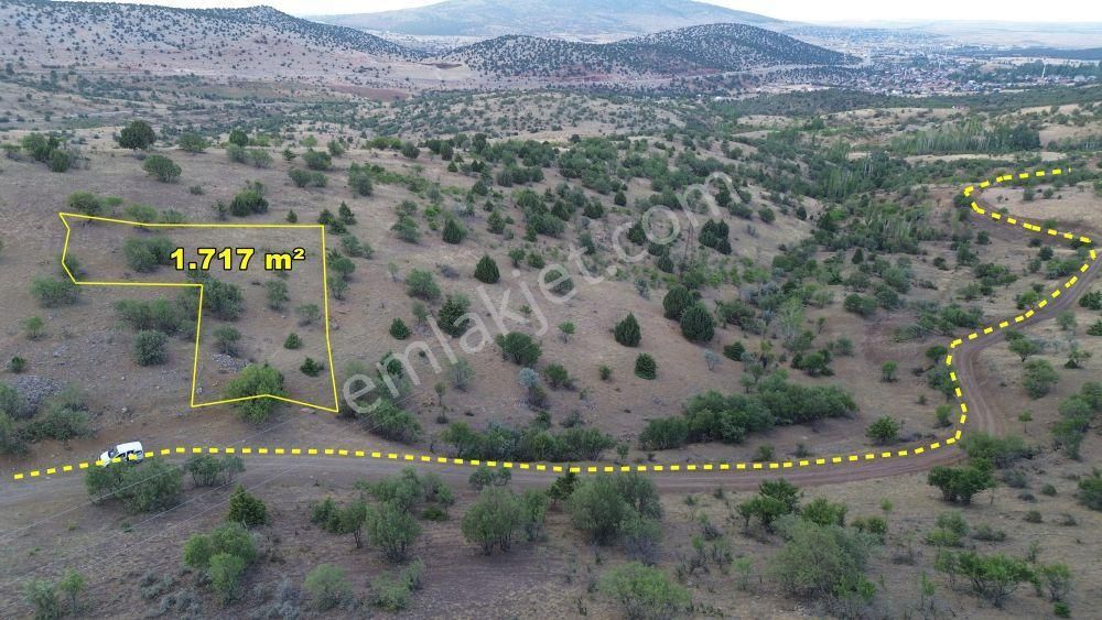 Konya / Güneysınır / Gürağaç Mahallesinde 1.717 M² Bağ