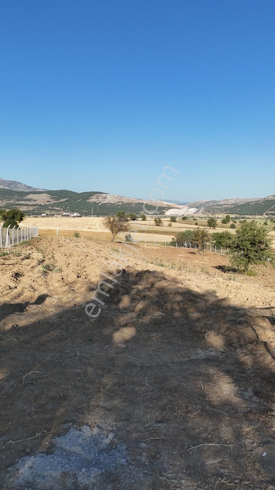 Tavas Saraabat Mahallesi Satılık Tarla
