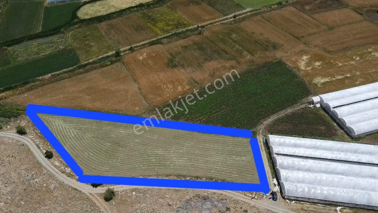 Uğur'dan Bekçiler Mah 3500 M2 Satılık Tek Tapu Arazi