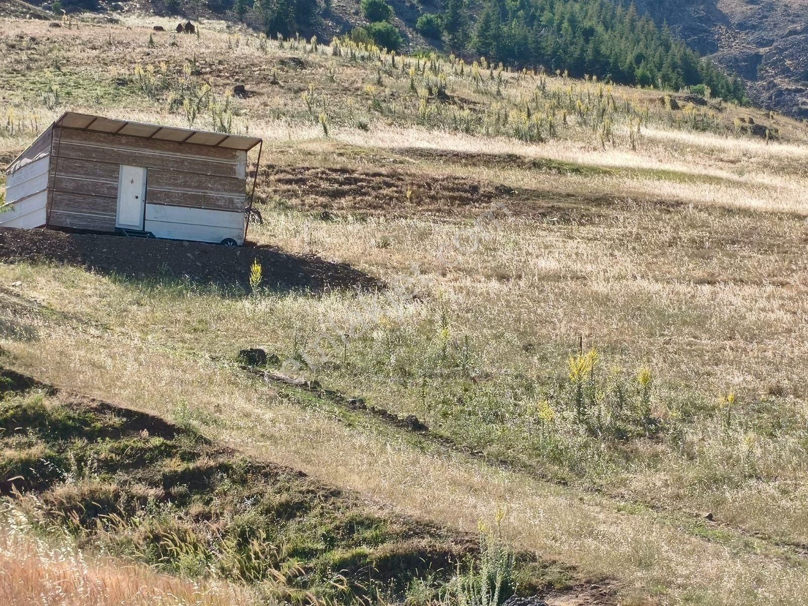 Pozantı Kar Emlaktan Kamışlı Yaylasında Doğa Manzaralı Yaylalık 550 M2 Satılık Arsa - Görsel 19