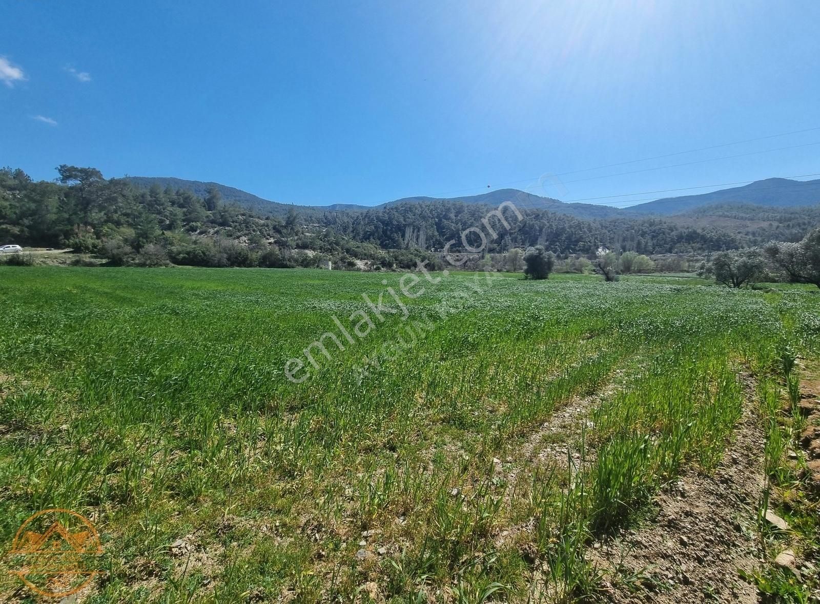 Muğla Menteşe Gevenes'de 4.775 M2 Satılk Düz Tarla