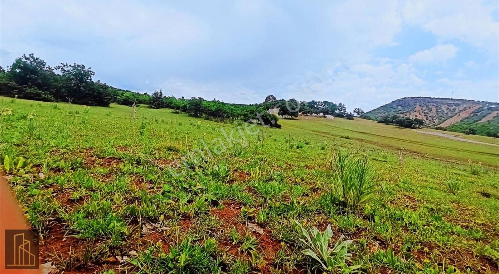 Tunceli Merkez Harçik Bölgesi Alt Yapısı Hazır Tek Tapu Arsa