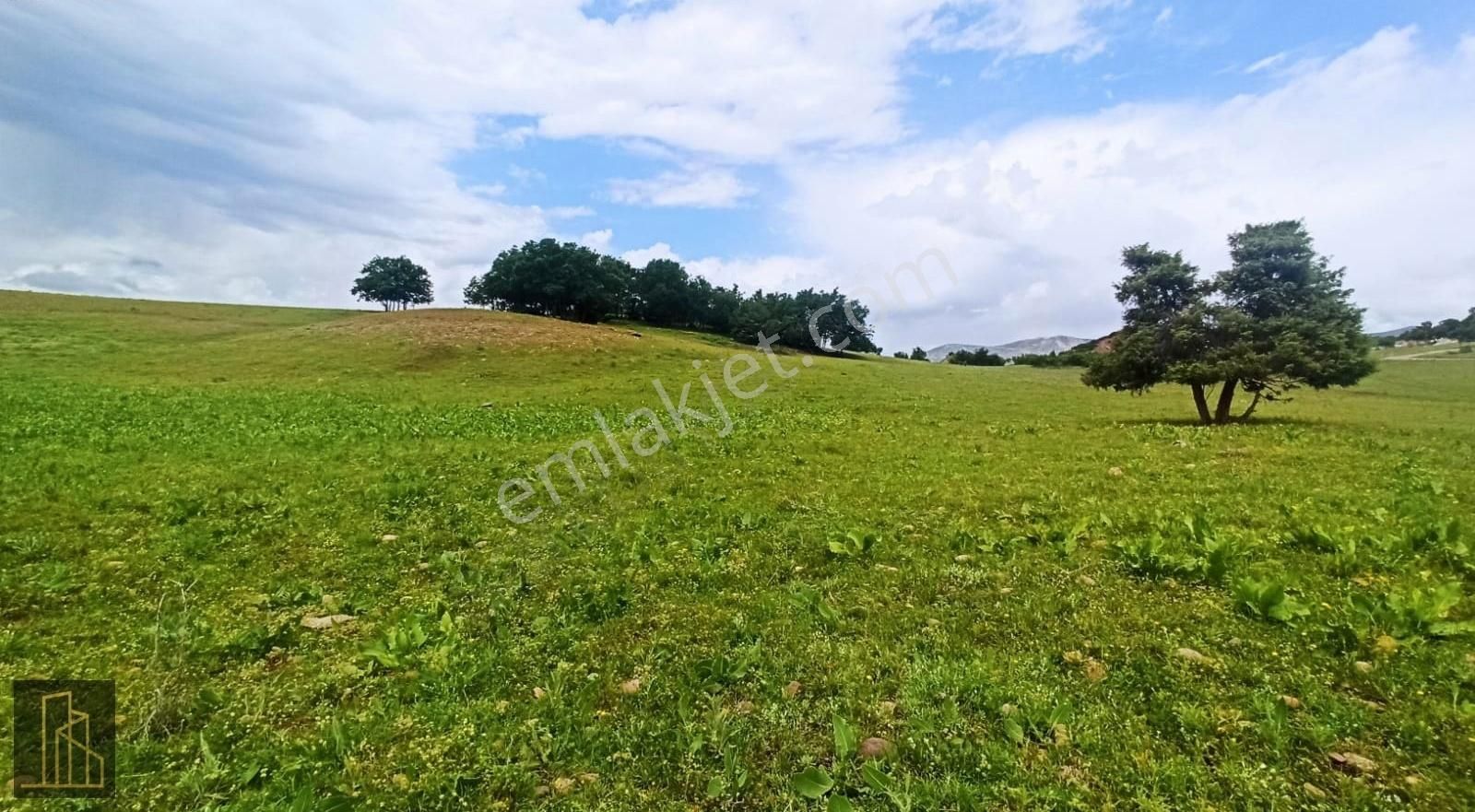 Tunceli Merkez'de Arsa Fırsatı