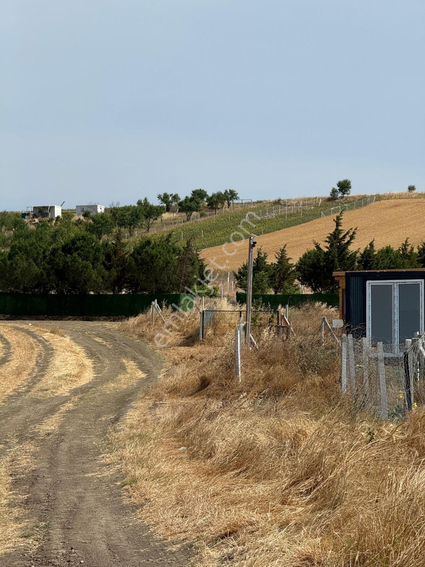 Tekirdağın Gözdesi Ereğlide 800 Mt Full Deniz Manzaralı Köye Yürüme Mesafesinde Arsa