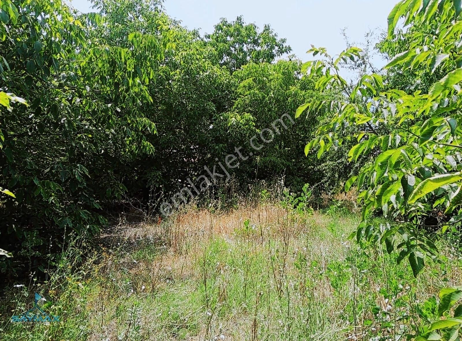 Çamlıyayla'da 880m2 Arsa İçerisinde 2+1 Bahçeli Satılık Müstakil