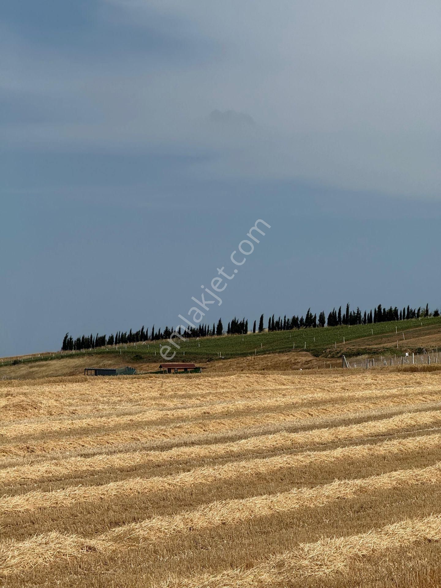 Marmaraereğlisi Çeşmeli 500 Mt Etrafı Çevrili Hobi Bahçesine Uygun Kelepir Arsa