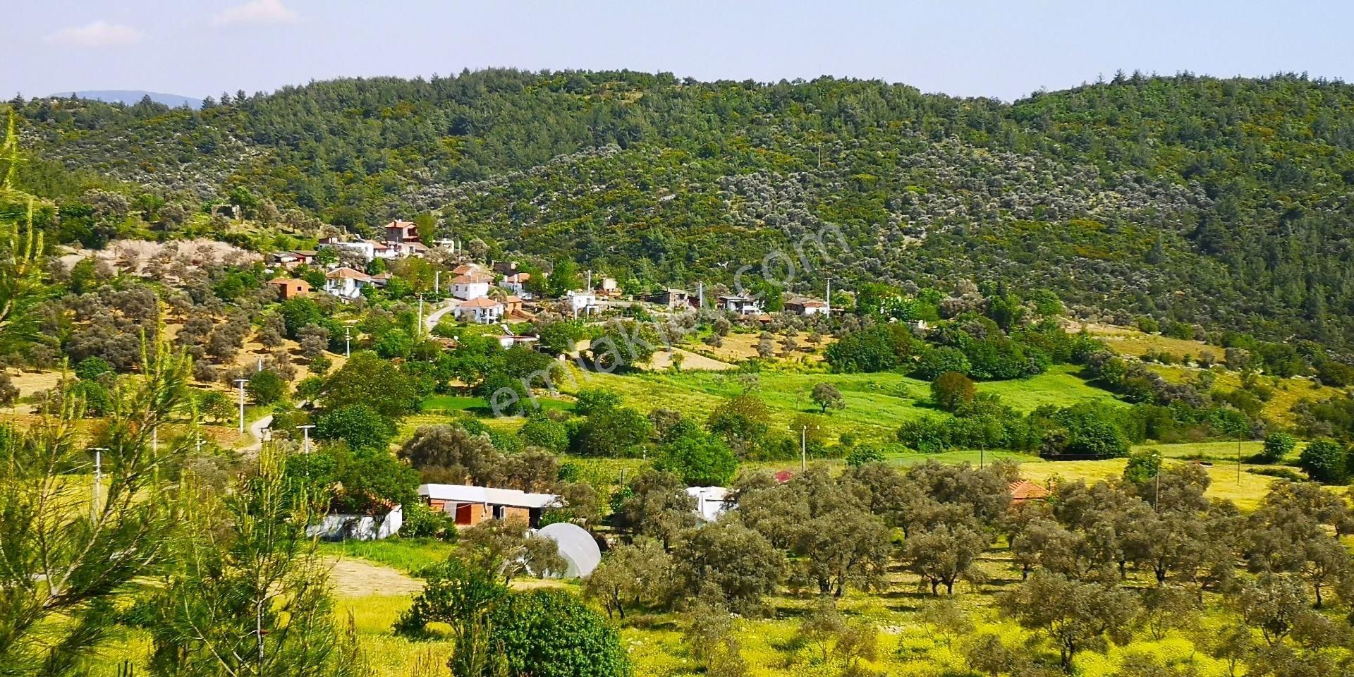 Milas Çamovalıda Doğayla İç İçe 2.286 M² Satılık Müstakil Parsel - Görsel 14
