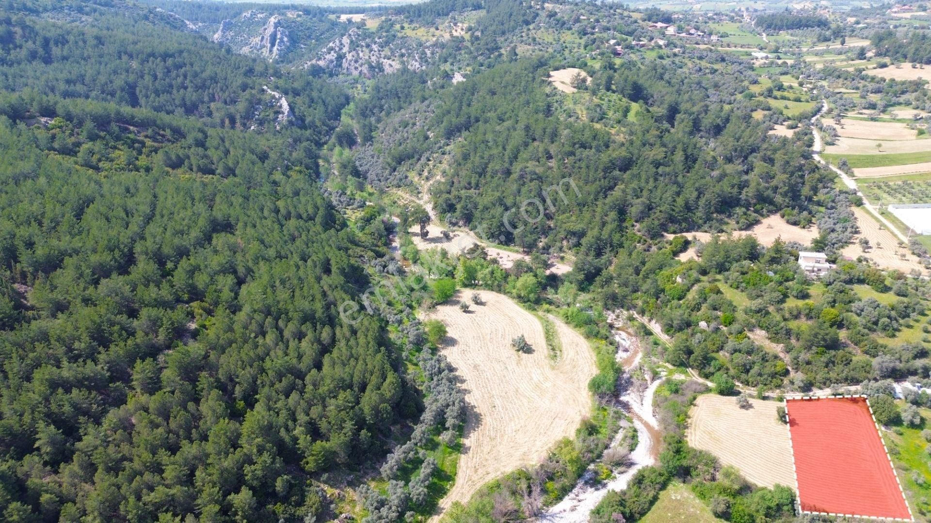 Milas Çamovalıda Doğayla İç İçe 2.286 M² Satılık Müstakil Parsel - Görsel 4