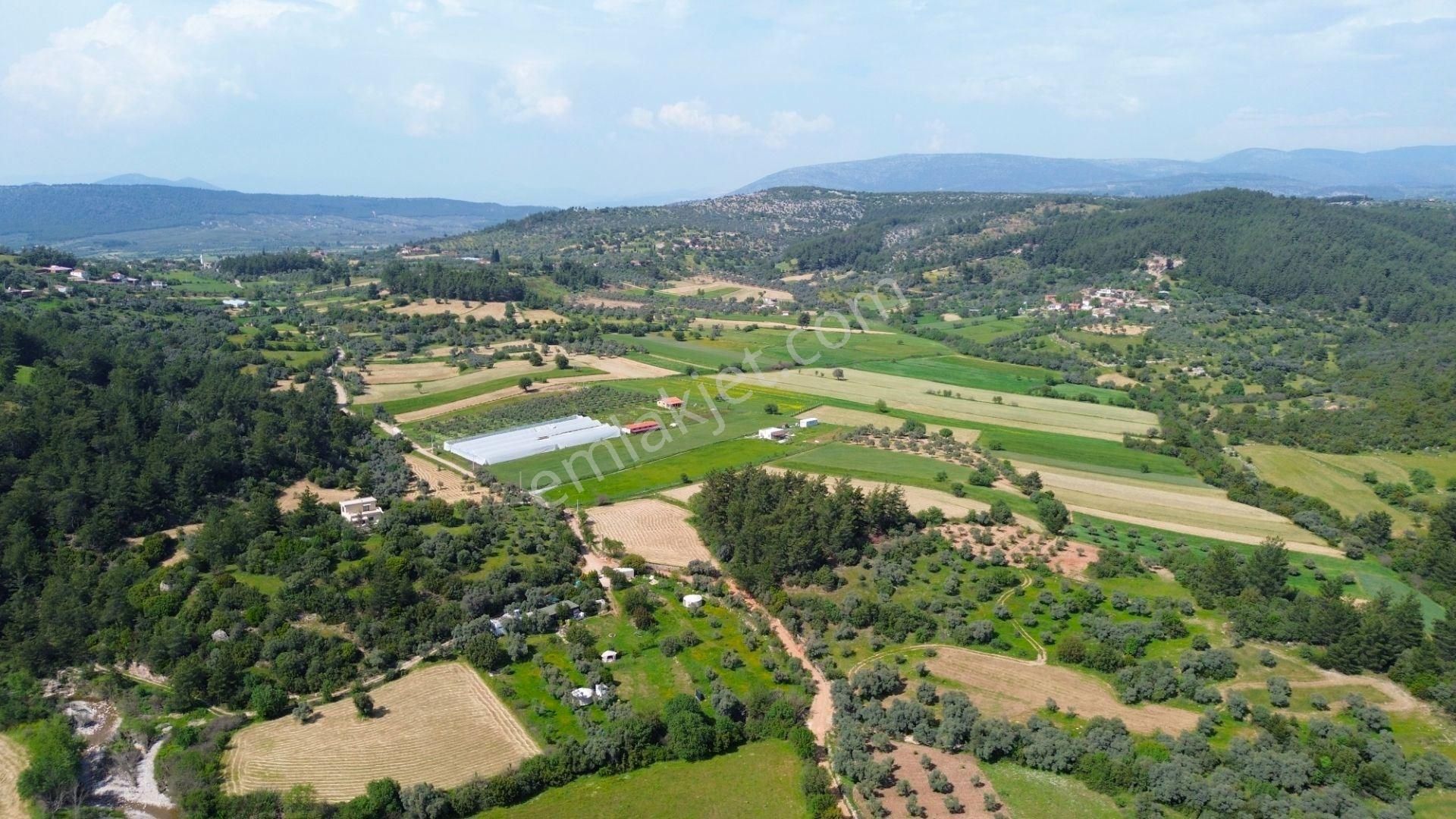 Milas Çamovalı'da Doğayla İç İçe 2.286 M² Satılık Tarla