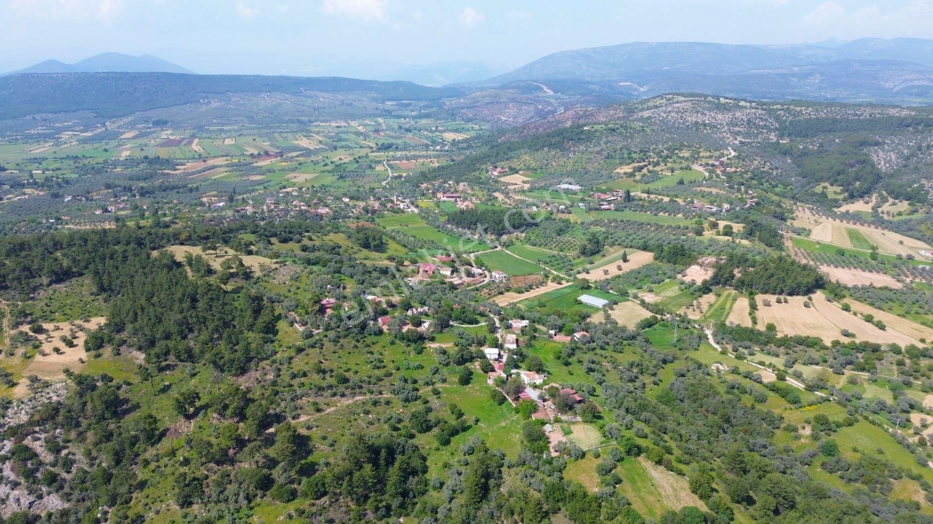Milas Çamovalıda Doğayla İç İçe 2.286 M² Satılık Müstakil Parsel - Görsel 8