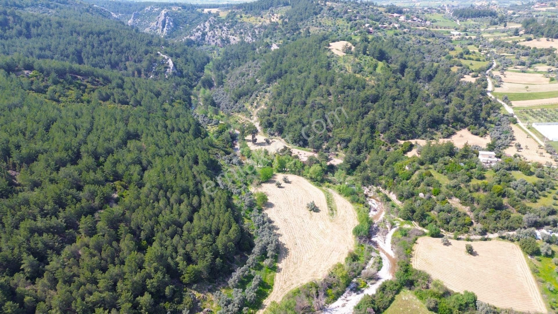 Milas Çamovalıda Doğayla İç İçe 2.286 M² Satılık Müstakil Parsel - Görsel 3