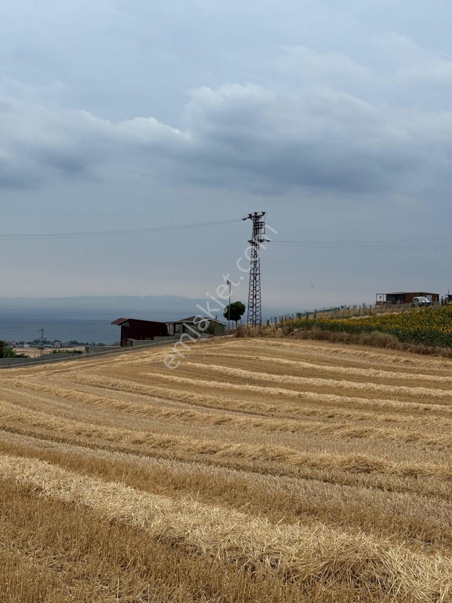 Çeşmeli 300 Mt Etrafı Çevrilip Prefabrik Koyulabilir Deniz Manzaralı Arsa