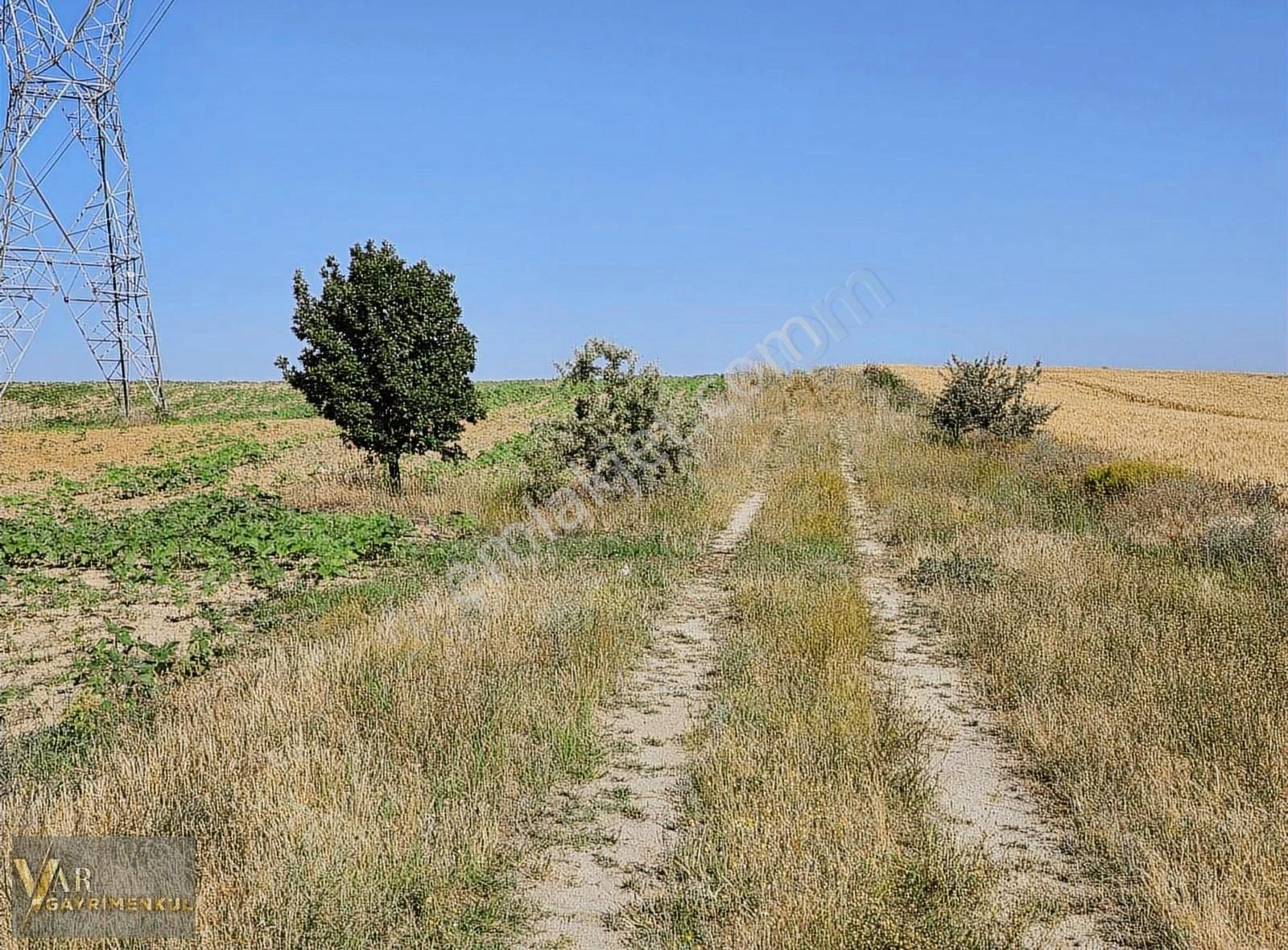 Edirne Uzunköprü Kırcasalihde Satılık 38 Dönüm Yatırımlık Tarla