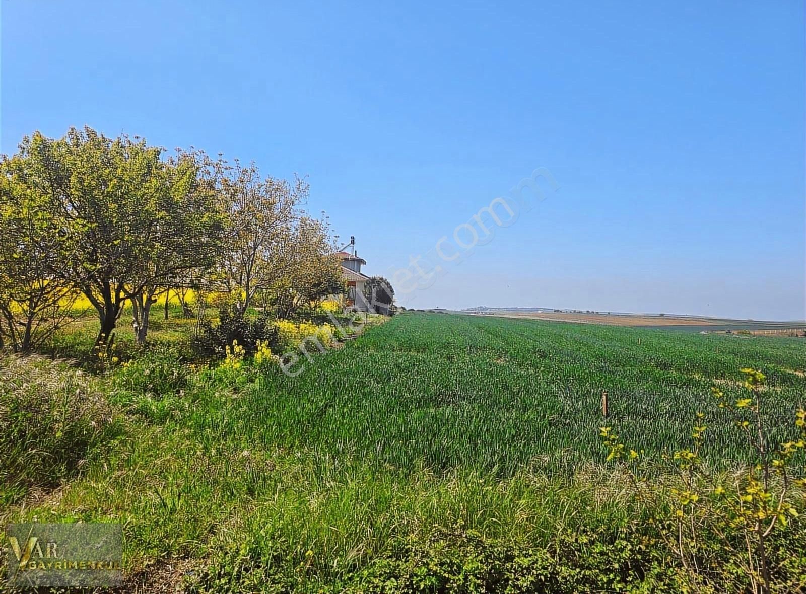 Tekirdağ Marmara Ereğlisi Çeşmeli'de Satılık Hisseli Parseller
