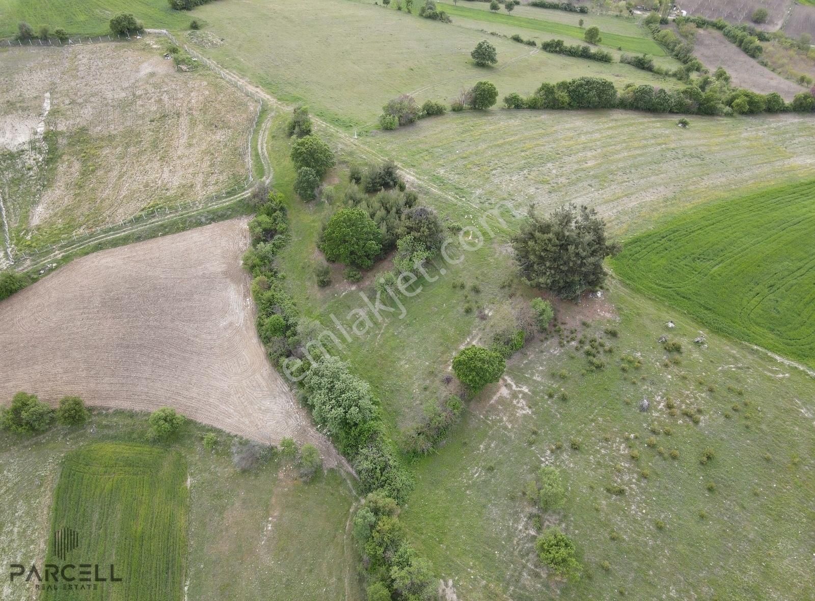 Balıkesir Altıeylül Beşpınar Mah. 5904 M² Satılık Tarla