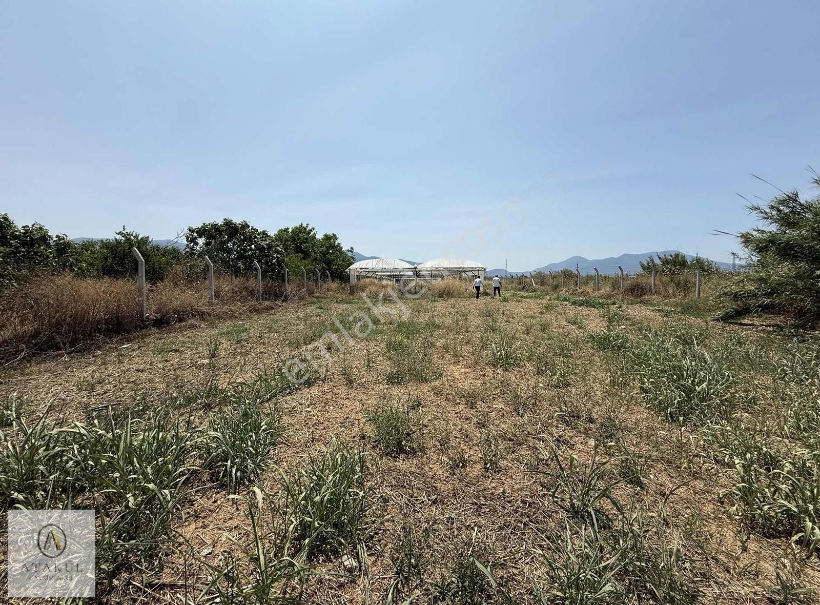 Atakul Gayrimenkul-armutlu'da Ana Yol 9930m2 Seralı Bahçe - Görsel 21