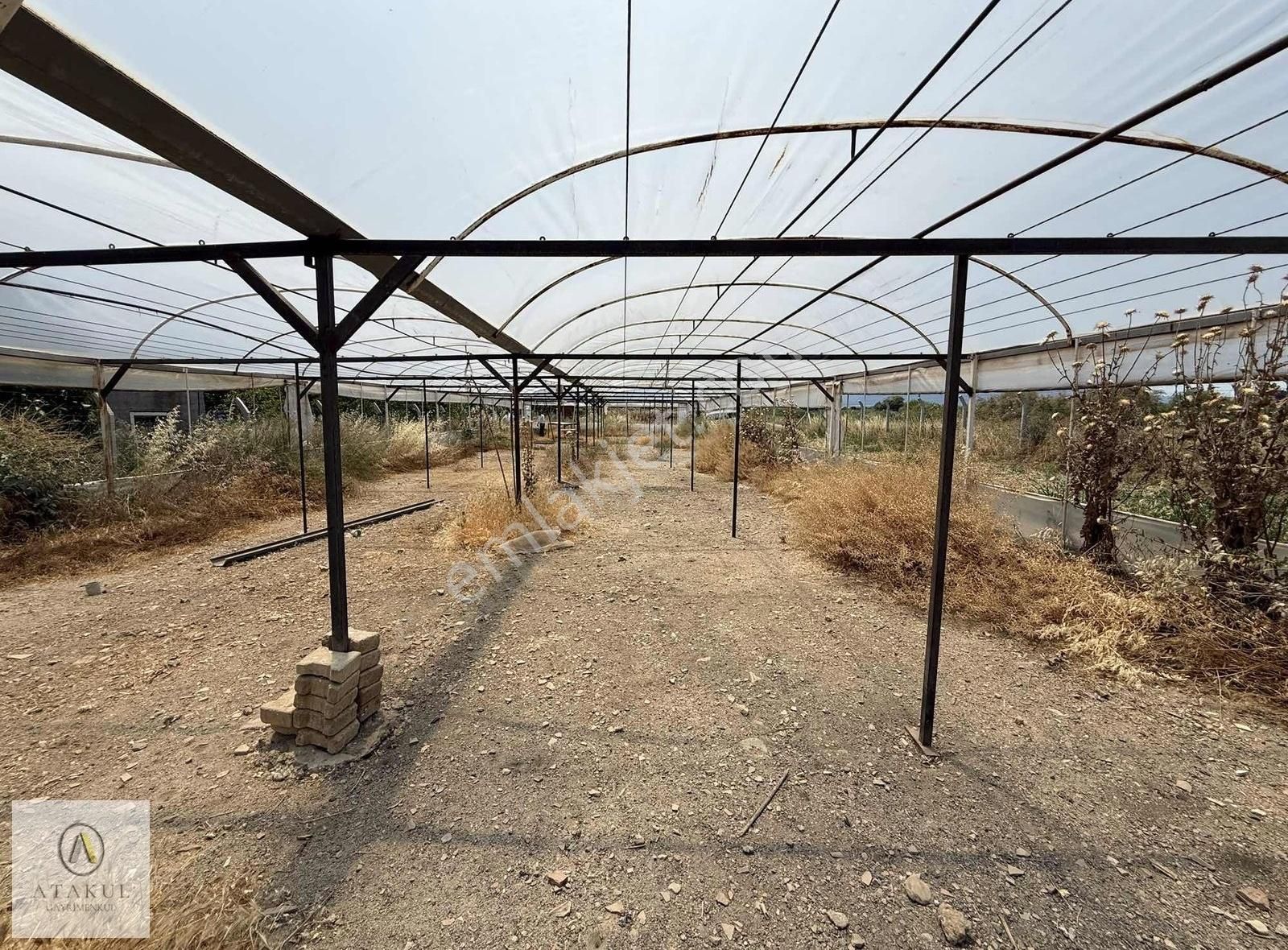 Atakul Gayrimenkul-armutlu'da Ana Yol 9930m2 Seralı Bahçe - Görsel 7