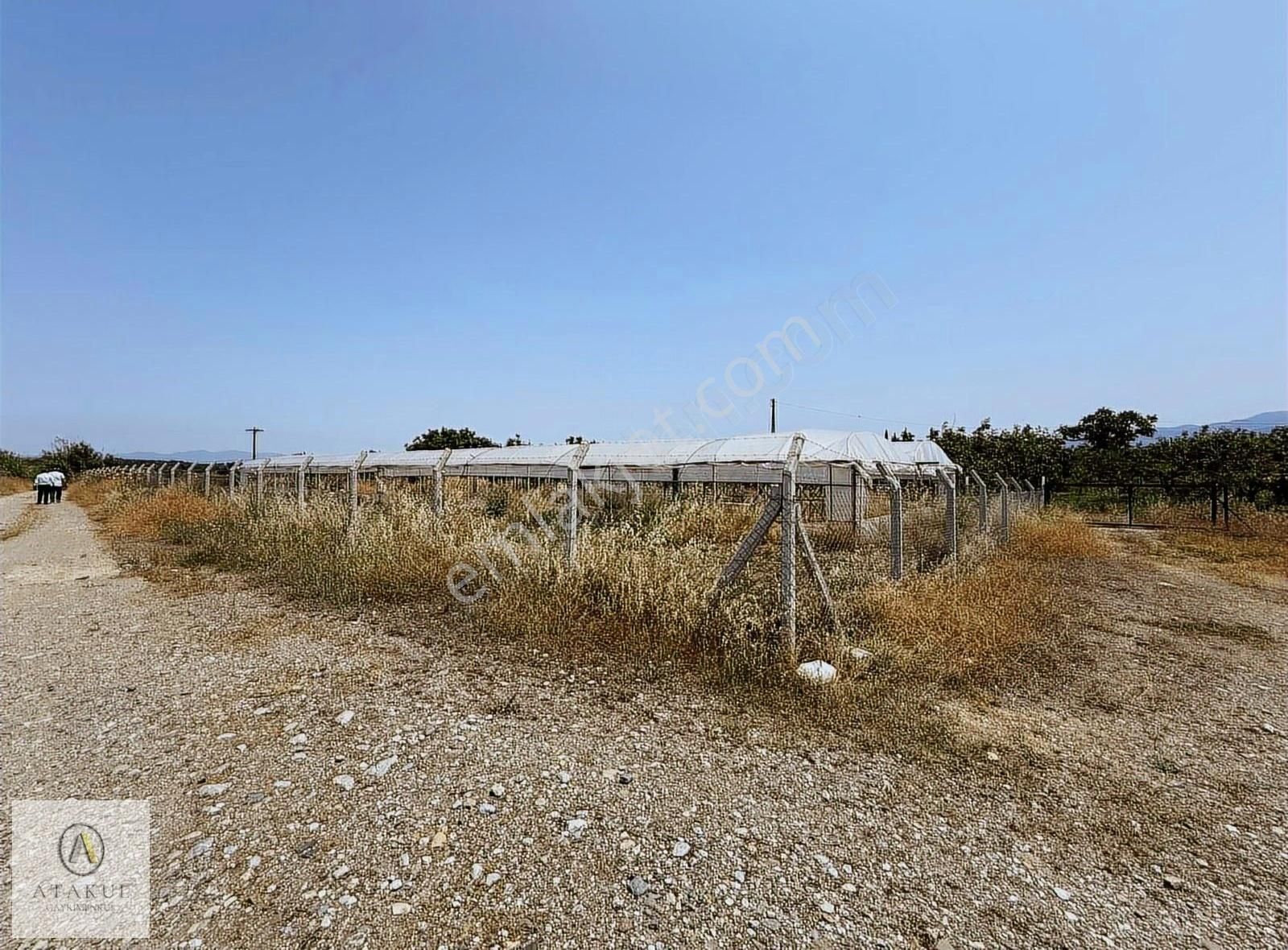 Atakul Gayrimenkul-armutlu'da Ana Yol 9930m2 Seralı Bahçe - Görsel 19