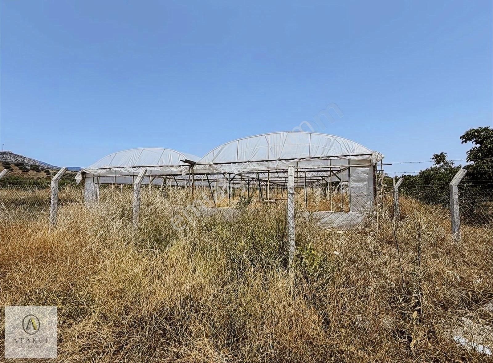 Atakul Gayrimenkul-armutlu'da Ana Yol 9930m2 Seralı Bahçe - Görsel 11