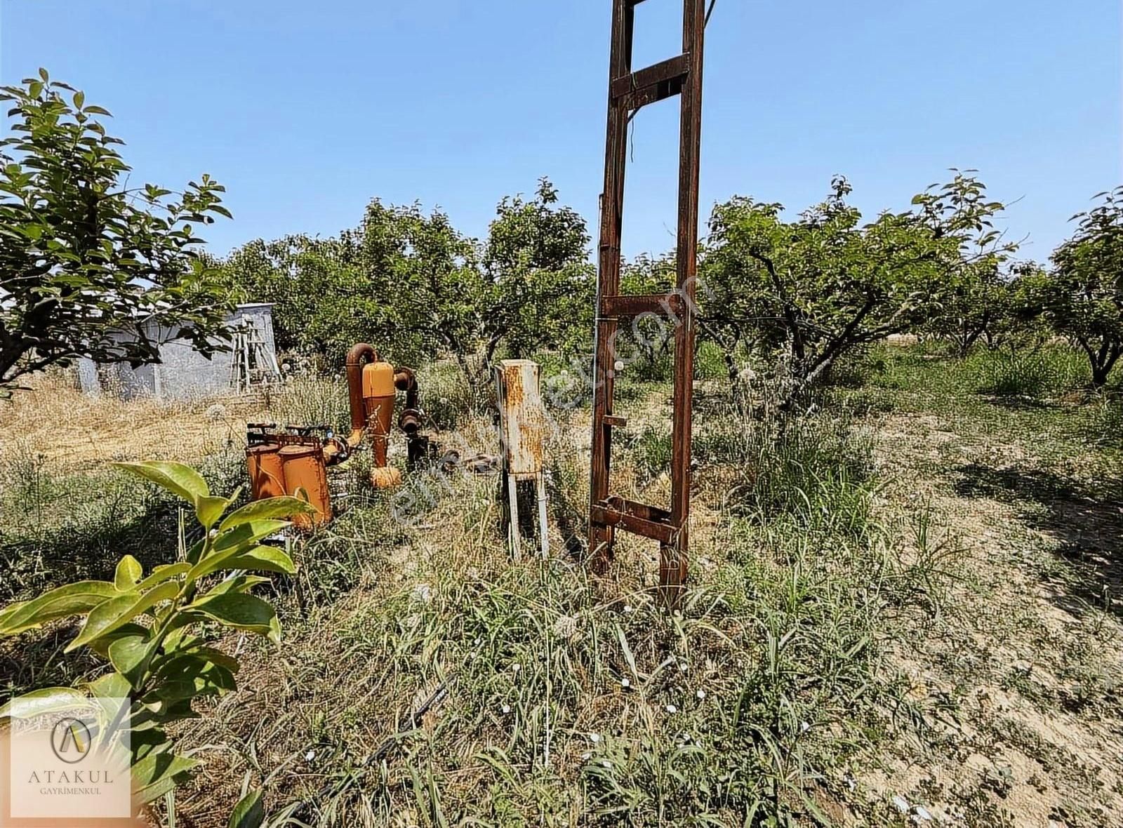 Atakul Gayrimenkul-armutlu'da Ana Yol 9930m2 Seralı Bahçe - Görsel 3