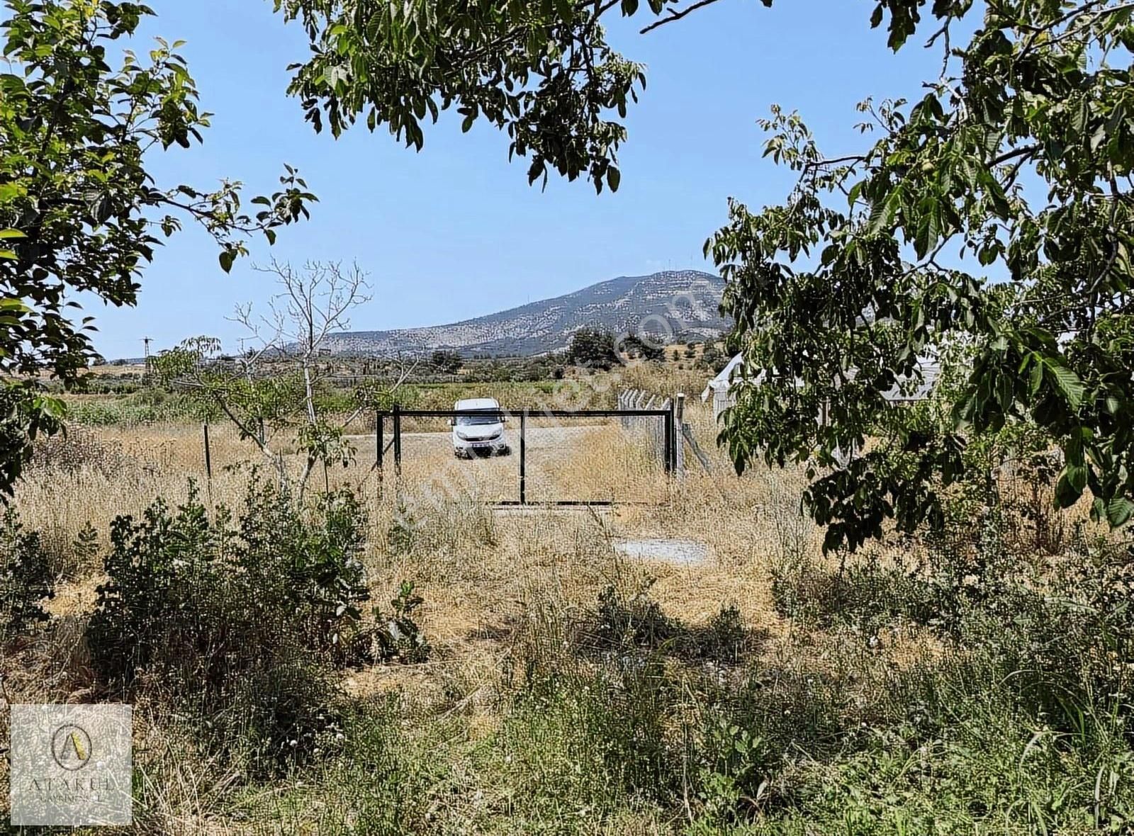 Atakul Gayrimenkul-armutlu'da Ana Yol 9930m2 Seralı Bahçe - Görsel 13