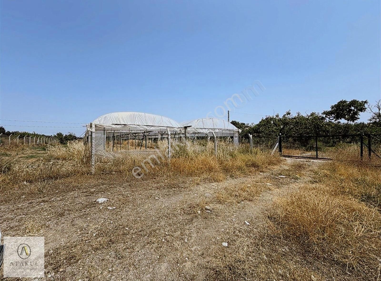 Atakul Gayrimenkul-armutlu'da Ana Yol 9930m2 Seralı Bahçe - Görsel 27