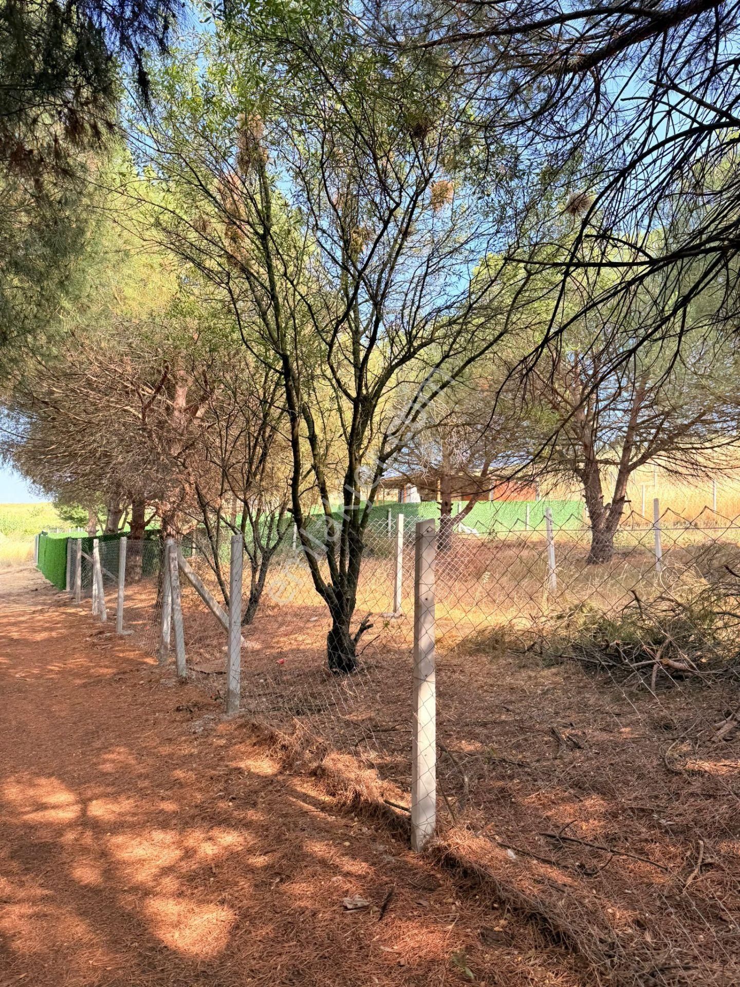 Tekirdağ Çeşmeli Mahallesi 500m2 Etrafı Çevrili Küçük Bütçeye Kazançlı Yatırım