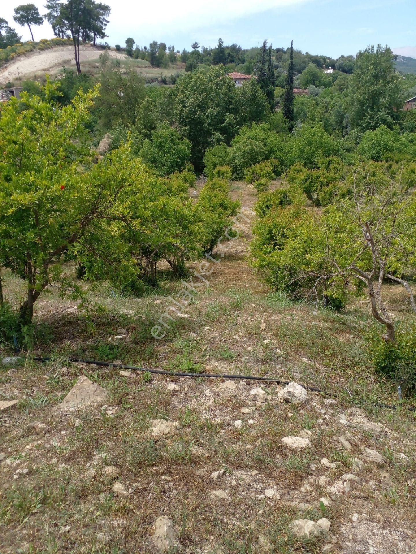 Arkadaş İnşaat Emlaktan Antalya Kumluca Da Satılık Bahçe - Görsel 5