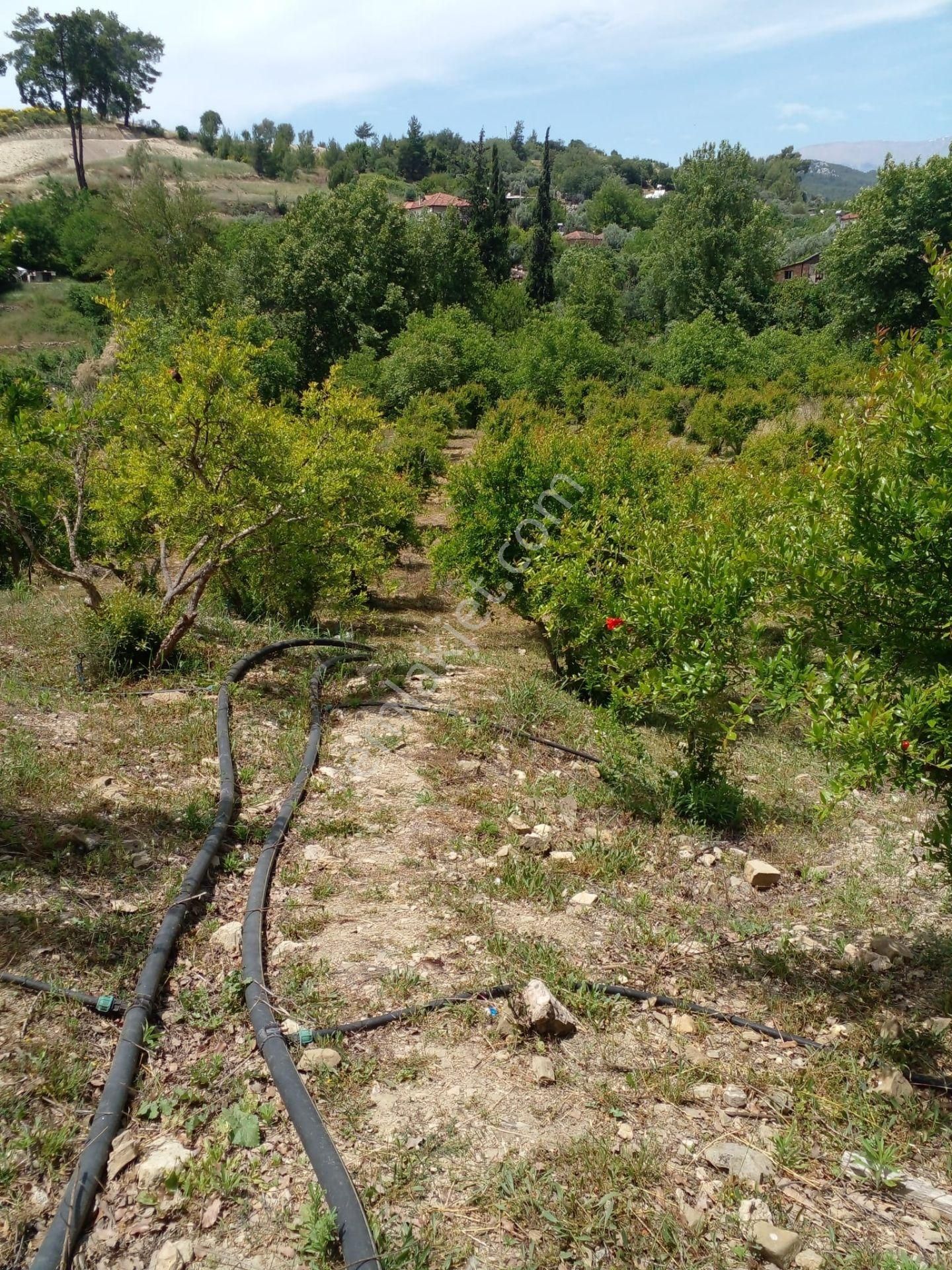 Arkadaş İnşaat Emlaktan Antalya Kumluca Da Satılık Bahçe - Görsel 4
