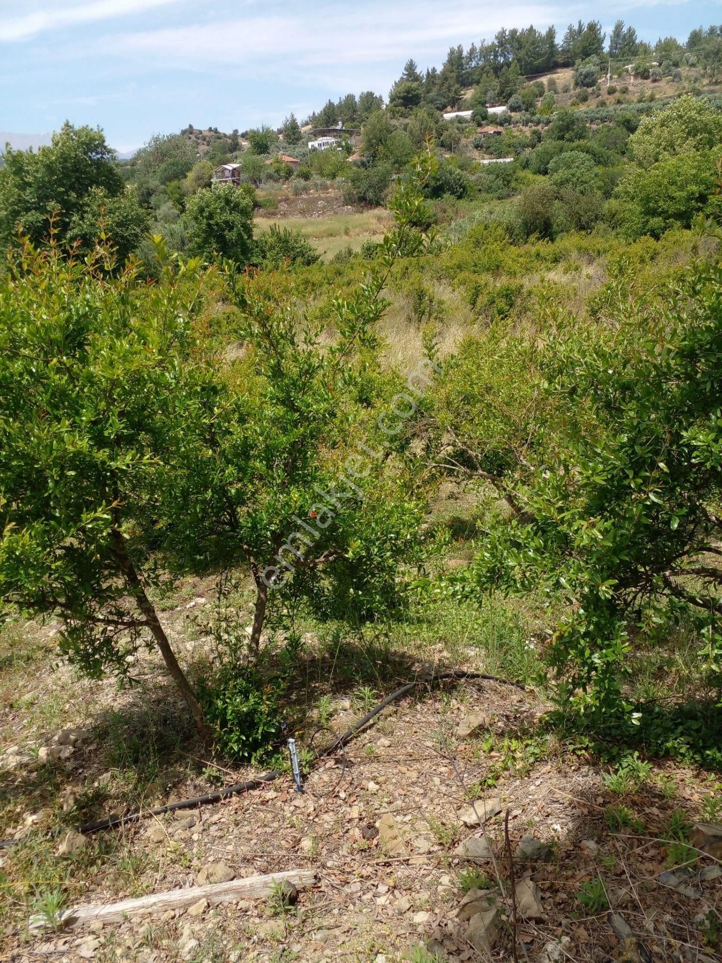 Arkadaş İnşaat Emlaktan Antalya Kumluca Da Satılık Bahçe - Görsel 10