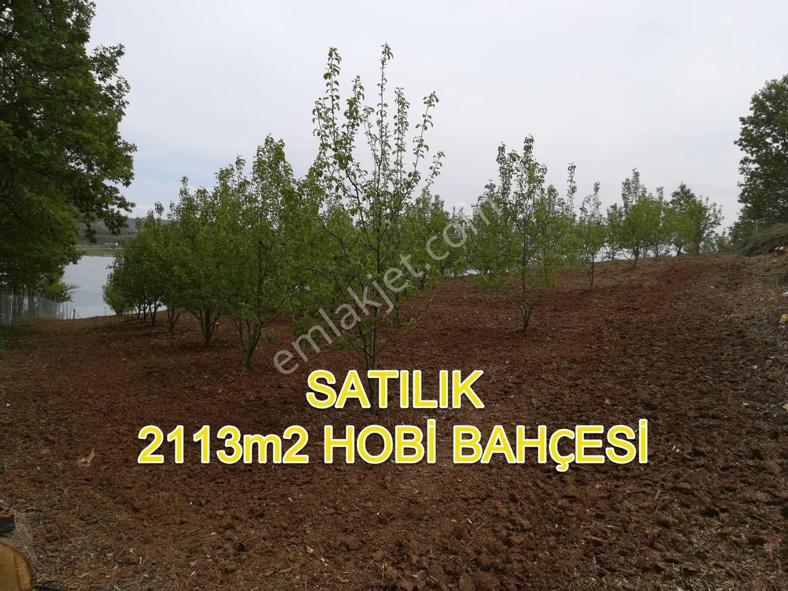 Bursa Kestel Kozluören,de Satılık Göletkenarı 2113m2 Hobibahçesi - Görsel 15