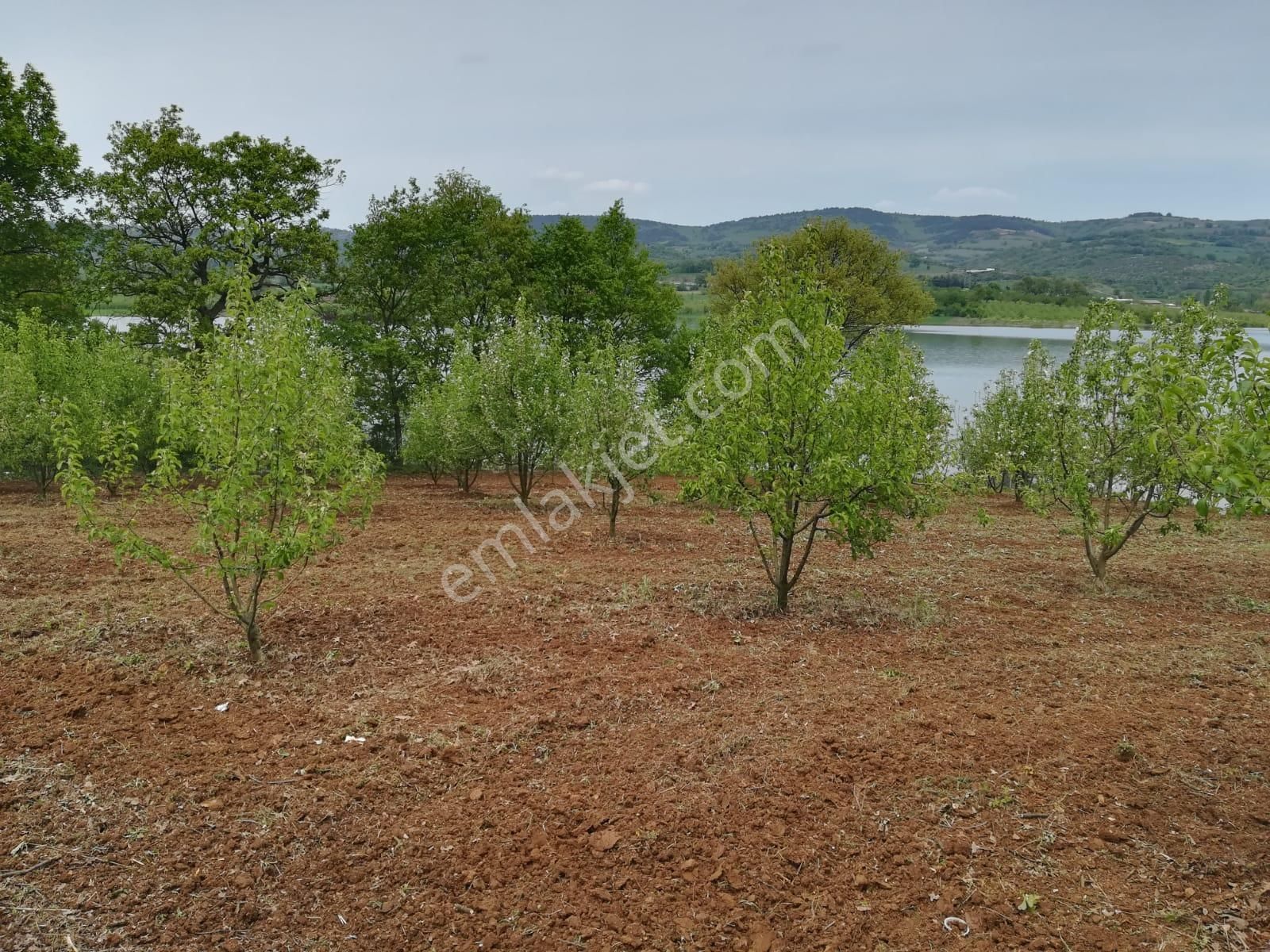 Bursa Kestel Kozluören,de Satılık Göletkenarı 2113m2 Hobibahçesi - Görsel 18