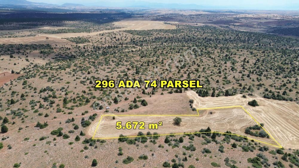 Beyşehir Yenidoğan-yenicede 5.672 M2 Müstakil Tapulu Tarla