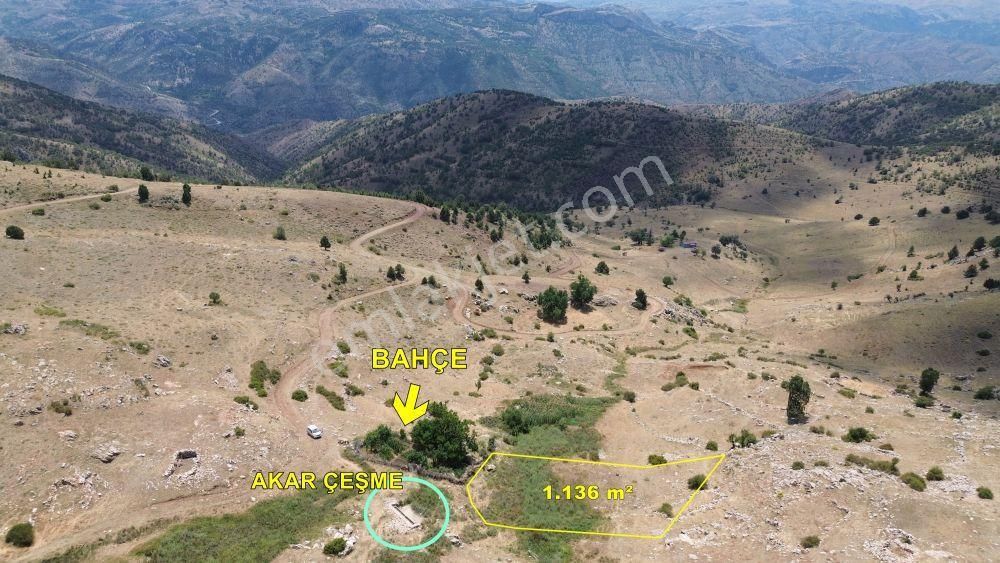 Çeşme Yanında Bahçelik Yer Konya / Hadim / Küplüce De 1.136 M² Müstakil Tarla