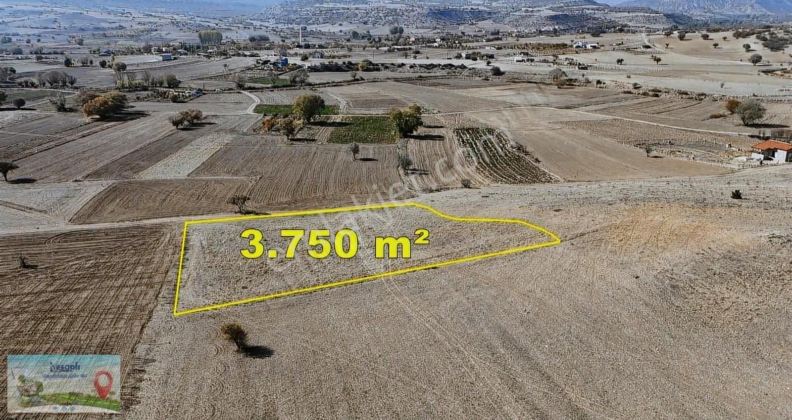 Bahçelik 3750 M² Konya / Meram /güneydere (botsa) - Görsel 2