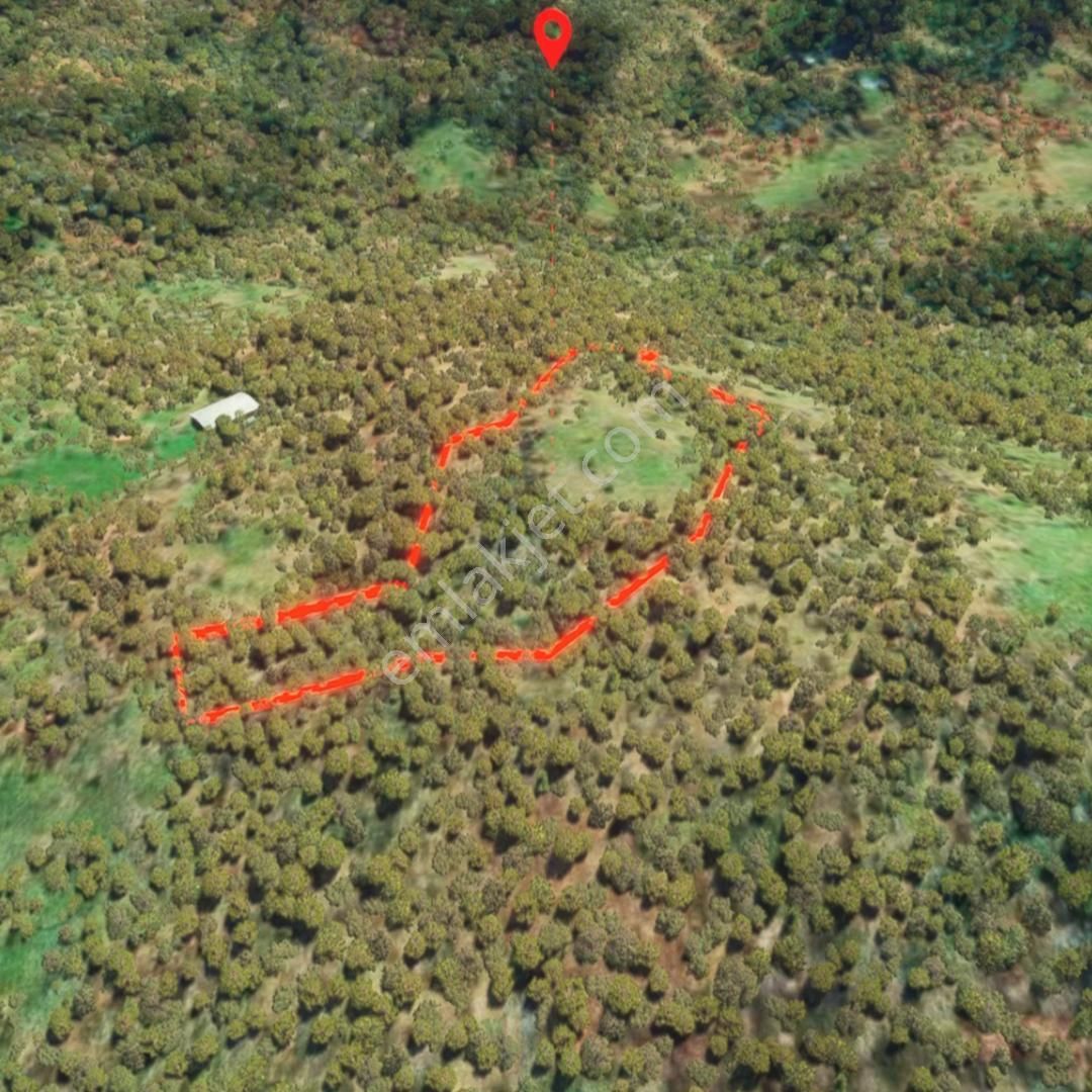 Çanakkale Yenice Seyvan Köyü Yan Yana Satılık 2 Adet Tarla