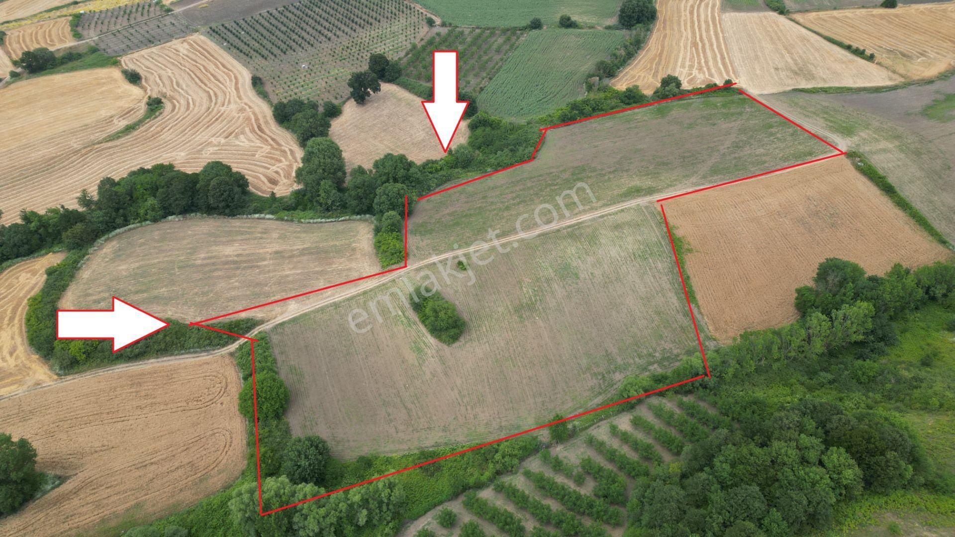Kocaeli Karamürsel Yalakdere Satılık Tarla 31645 M2