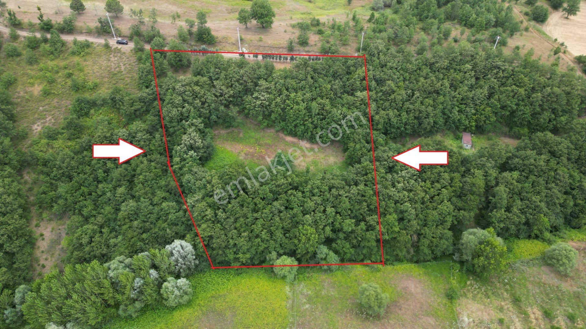 Kocaeli Karamürsel Çamdibi Mahallesi Satılık Tarla 5089 M2