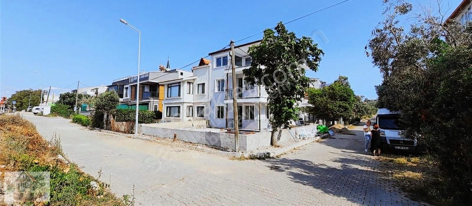 Abibodan Urla Çamlıçayda Yola Sahile Bir Adim