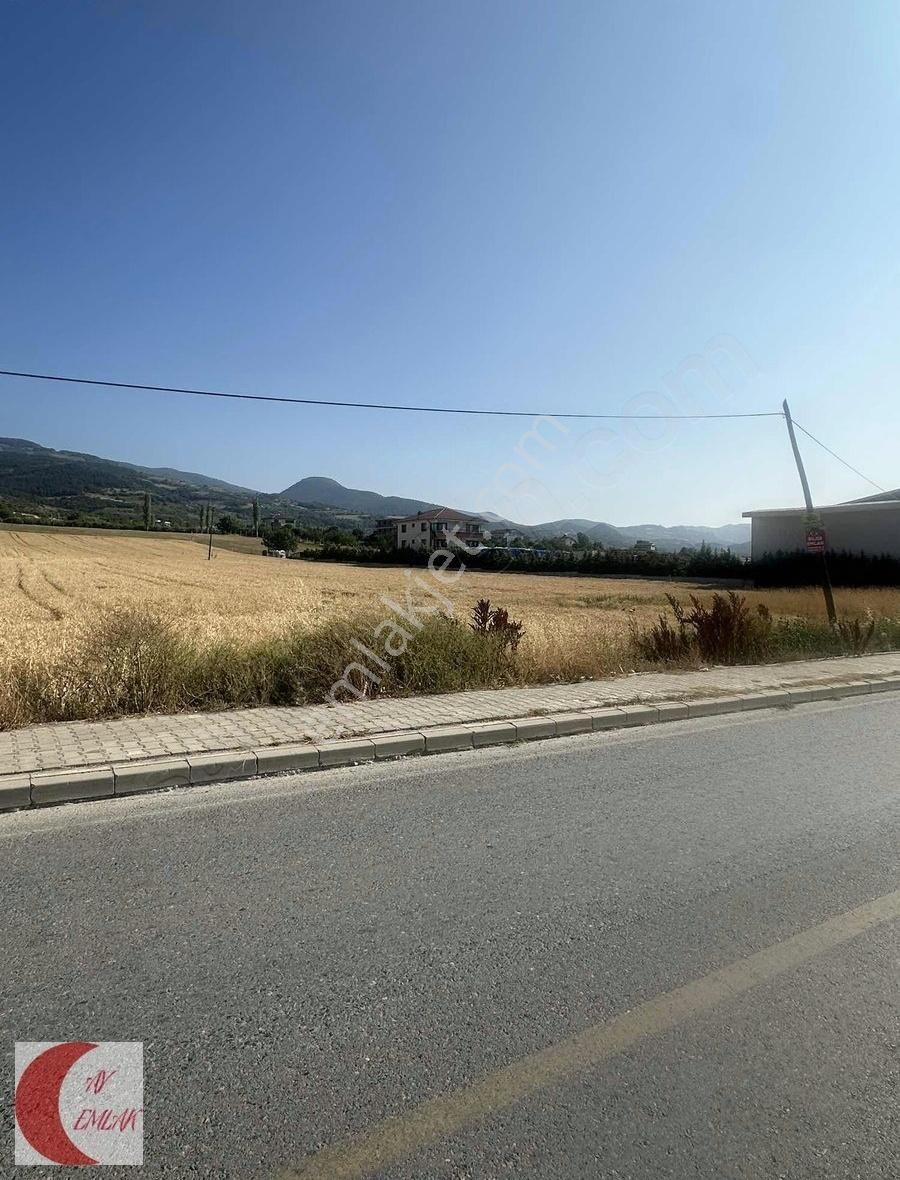 Ay Emlak'tan Geyve Merkezde 2 Adet Ticari İmarlı Arsa