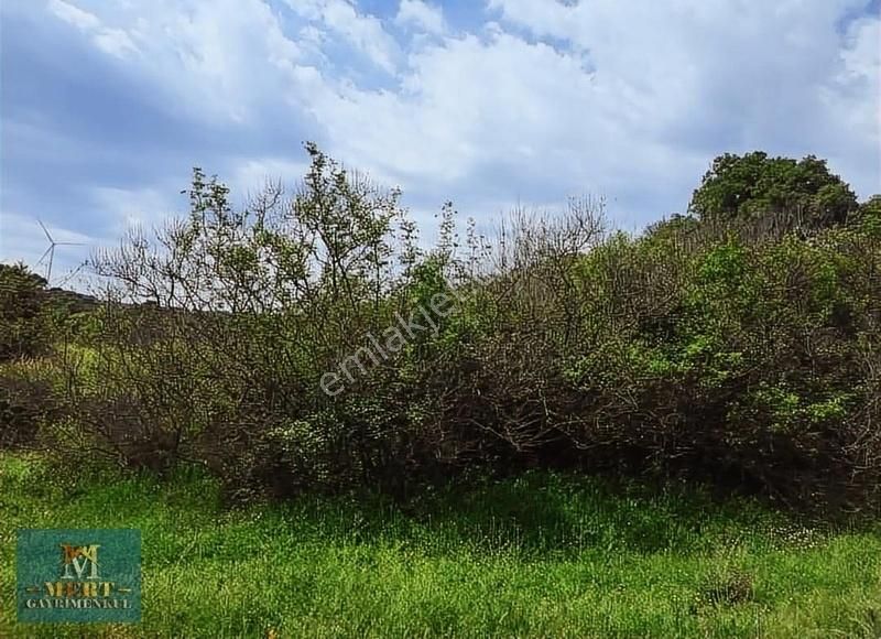 Çanakkale Ayvacık Sapanca Köyünde Tarla