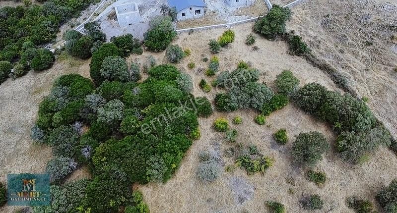 Ayvacık Büyükhusun Köyünde Ana Yola Cephe Tarla