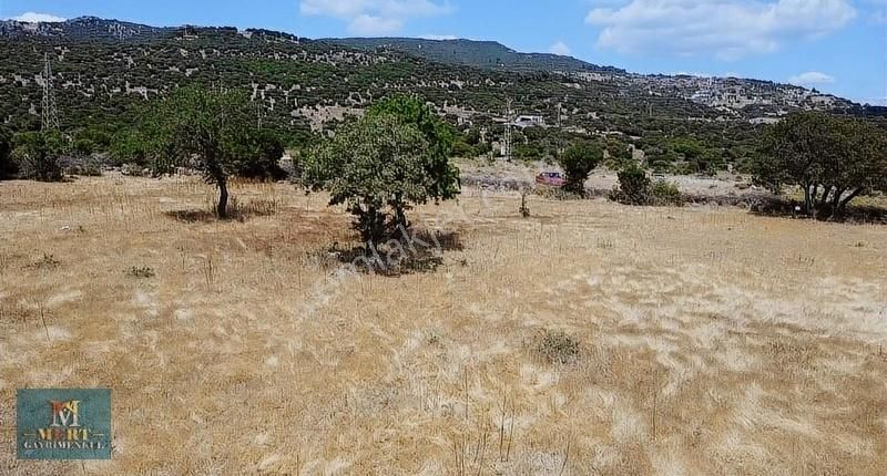 Çanakkale Ayvacık Büyükhusun Köyünde Deniz Manzaralı Tarla