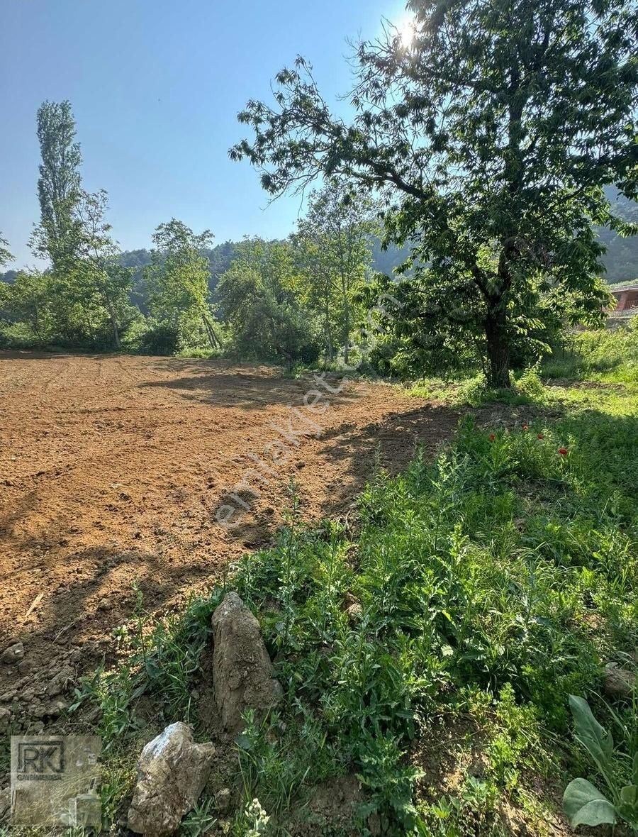 R.k Dan Bursa Osmangazi Kirazlıda Satılık 1570m2 Tarla