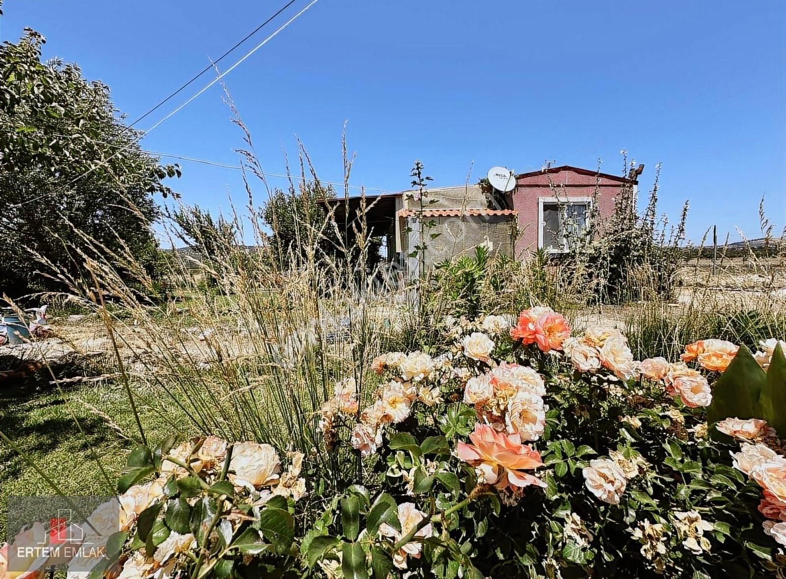 Manisa Yunusemre Osmancalı Satılık Müstakil Ev 600 M2