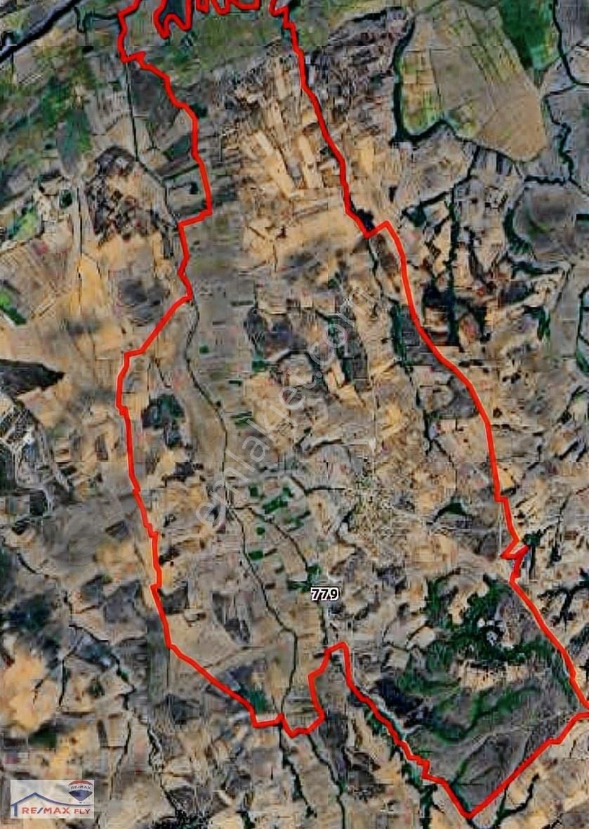 Edirne Malkoç Köyünde Uygun Fiyata Kaçırılmayacak Tarla Fırsatı!